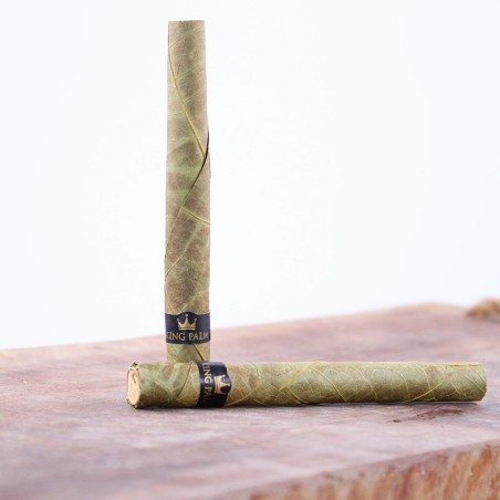 Cocorikush - BLUNT KING PALM TAILLE XL