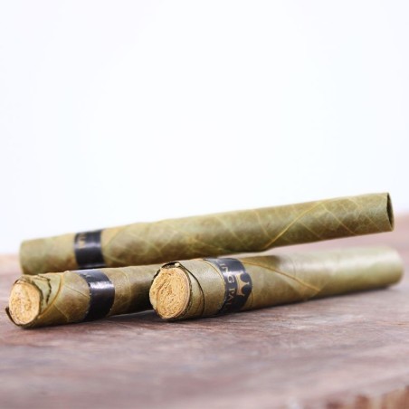 Cocorikush - BLUNT KING PALM TAILLE XL