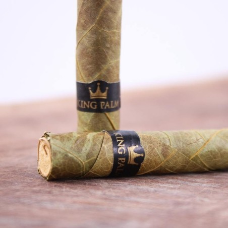 Cocorikush - BLUNT KING PALM TAILLE XL