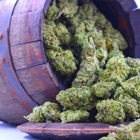 Vanilla Kush Bourbon CBD d'exception Prestige