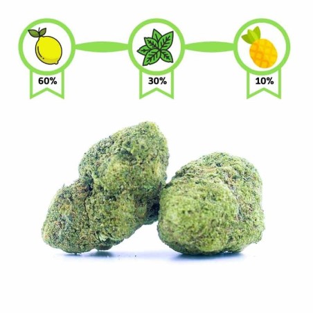 GREEN-CRACK-EFFET-PUISSANT