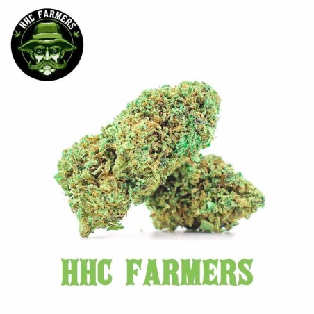 FLEUR HHC