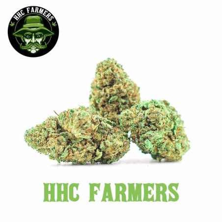 CHAMPAGNE HAZE HHC