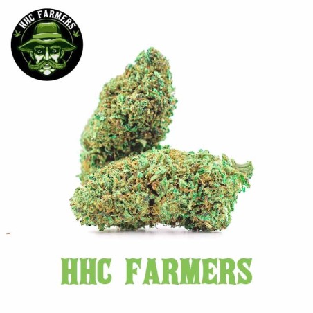 HHC QUALITE