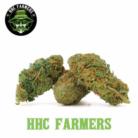 Cookie Kush HHC 30% | HHC FARMERS