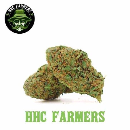 Cookie Kush HHC 30% | HHC FARMERS