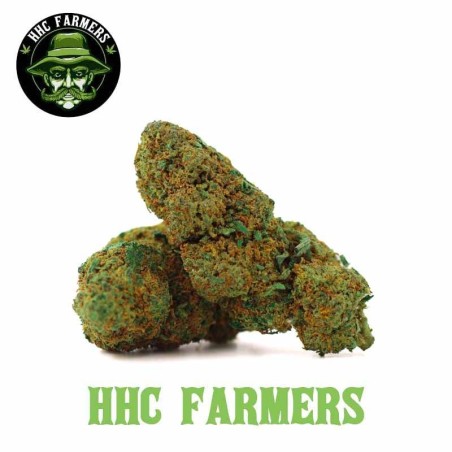 STRAWBERRY DE QUALITE PAS CHER HHC