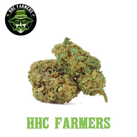 Skywalker Kush de qualité HHC