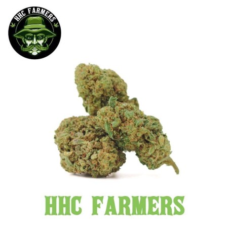 Skywalker OG KUSH HHC PAS CHER