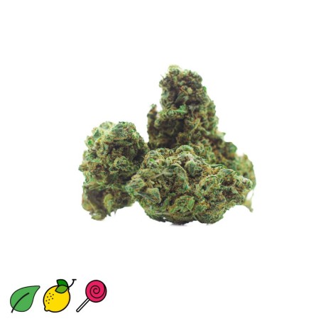 HINDU KIUSH CBD PAS CHER