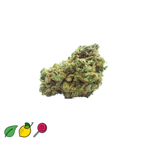 HINDU KUSH CBD PUISSANT