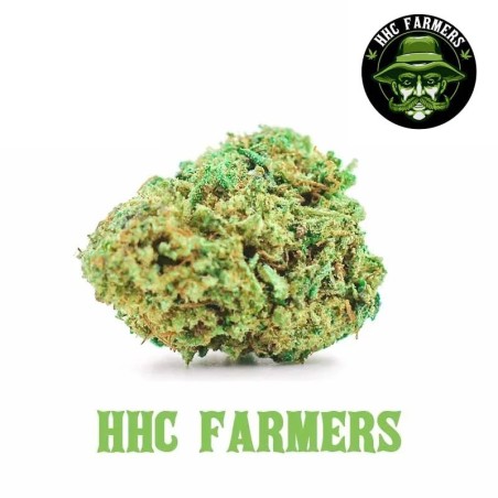 CRITICAL KUSH HHC