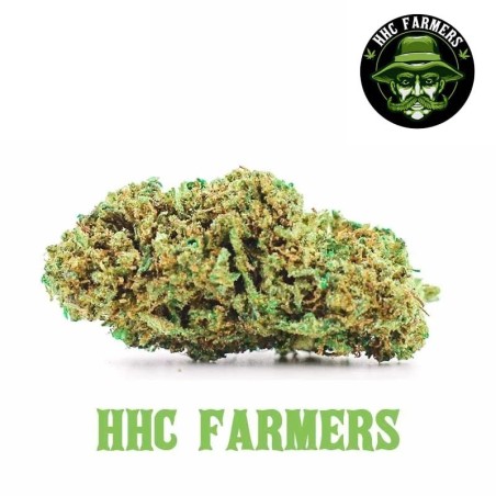 CHAMPAGNE HAZE HHC