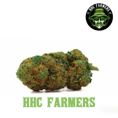 Strawberry Sorbet HHC