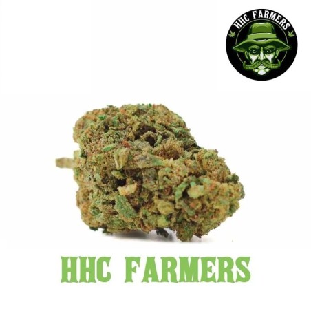 Skywalker OG HHC