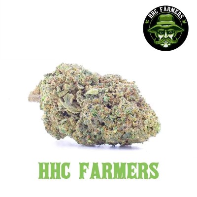 White Widow HHC White Widow HHC