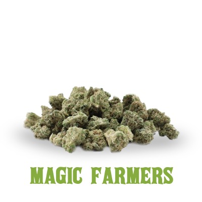 DURBAN POISON HHCP
