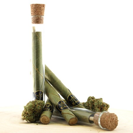 BLUNT K-LEAF PRÉ ROULE