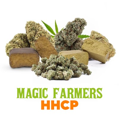 PACK DECOUVERTE HHCP