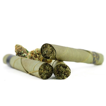 CANNAGAR BLUNT