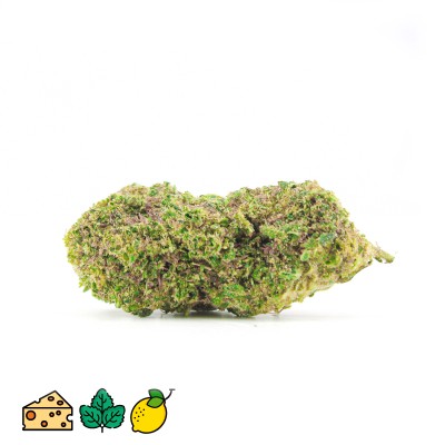WAPANGA THCP 10%