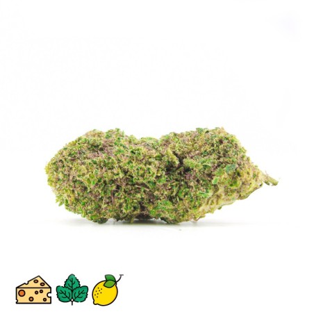 WAPANGA THCP 10%