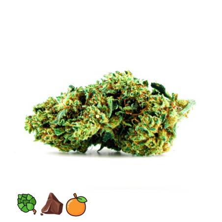 GRENADINE KUSH THCP