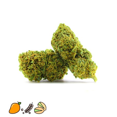 pistacchio thcp