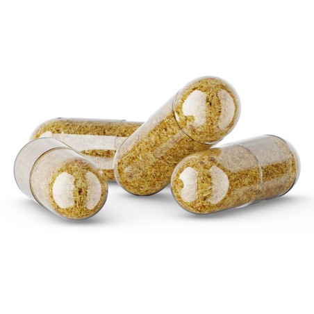 ACHETER MUSHROOM IMMUNITY | RENFORCEMENT DU SYSTEME IMMUNITAIRE