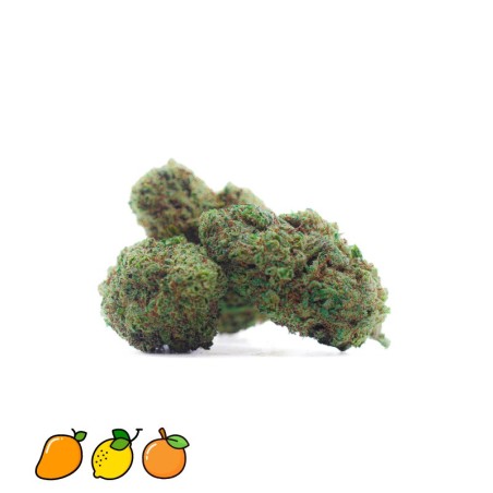 BUD CBD