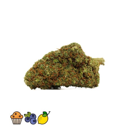 911 OG HHCPO
