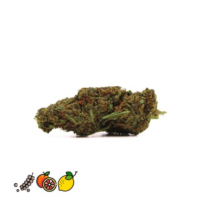 L.A CONFIDENTIAL HHCPO