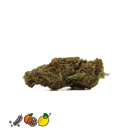 L.A CONFIDENTIAL HHCPO