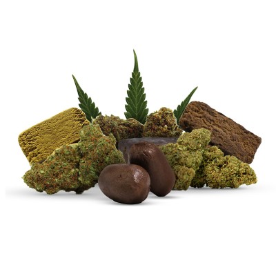 PACK DECOUVERTE HHCPO