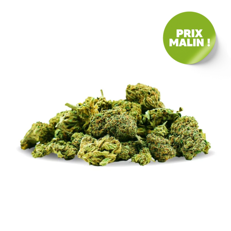 SMALL BUD THCP