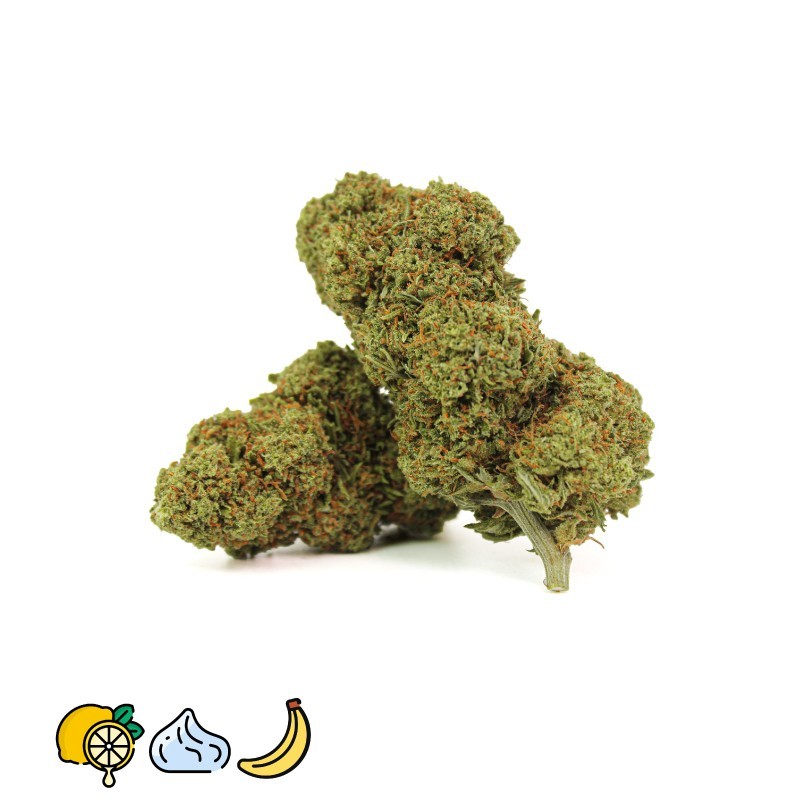 5 GRAMMES WHITE WIDOW CBD