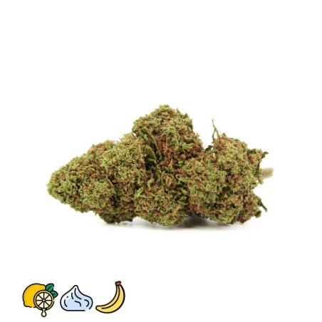 5 GRAMMES WHITE WIDOW CBD