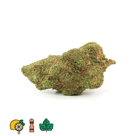 ALIEN OG HHCPO
