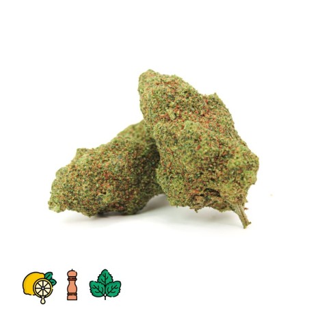 FLEURS HHCPO