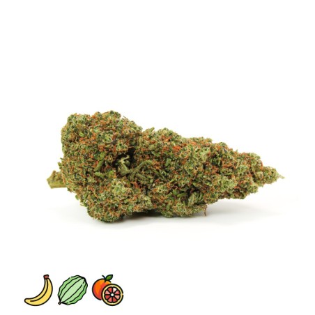 GORILLA COOKIE HHCPO