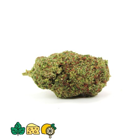 KHALIFA KUSH HHCPO