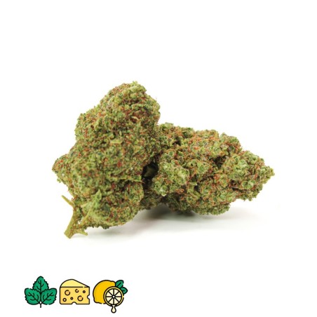 FLEURS HHCPO