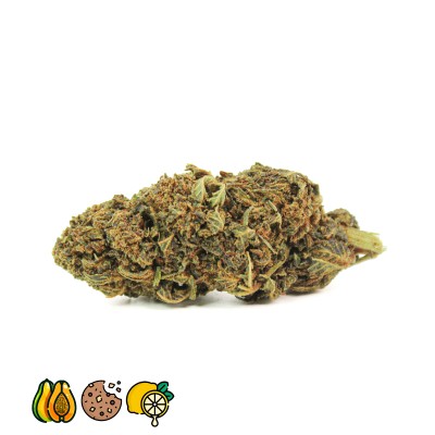 ACAPULCO GOLD FLEURS HHCPO