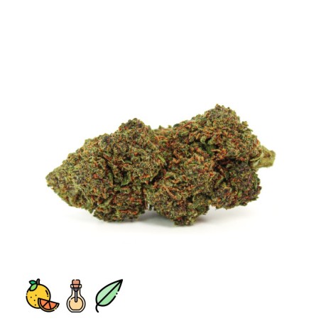 PURPLE GELATO HHCPO