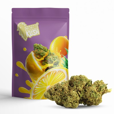 AMNESIA CBD