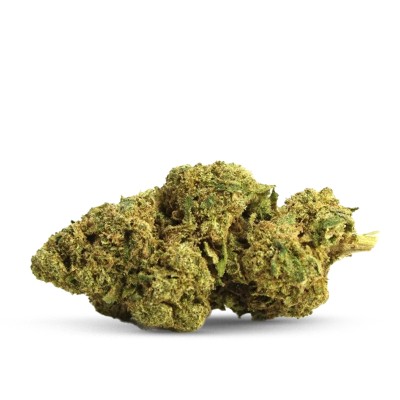 AMNESIA BUD CBD