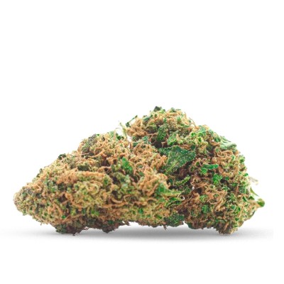 GORILLA GLUE PAS CHER