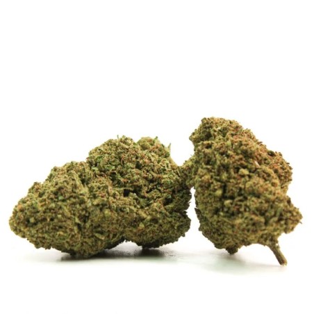 COCO BONGO CBD PUISSANT