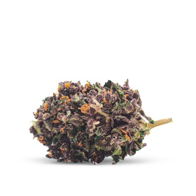 PURPLE HAZE CBD PURPLE HAZE CBD