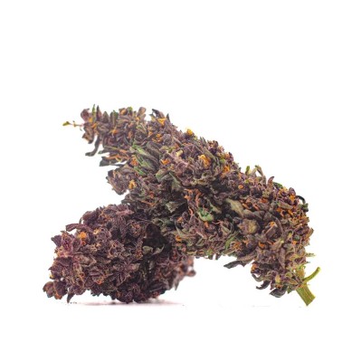 PURPLE HAZE CBD PAS CHER PUISSANT PURPLE HAZE CBD PAS CHER PUISSANT
